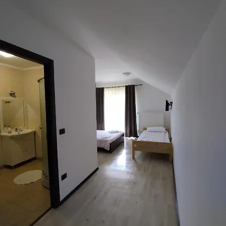 Puiu Mm Villa Borsa (Maramures)