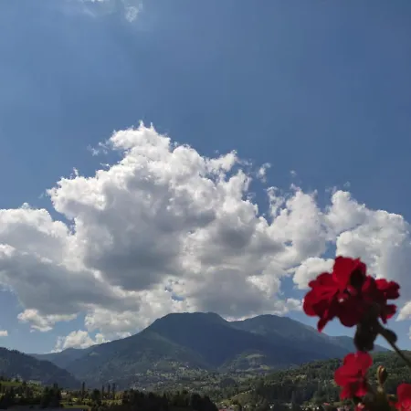 Puiu Mm Borsa (Maramures)