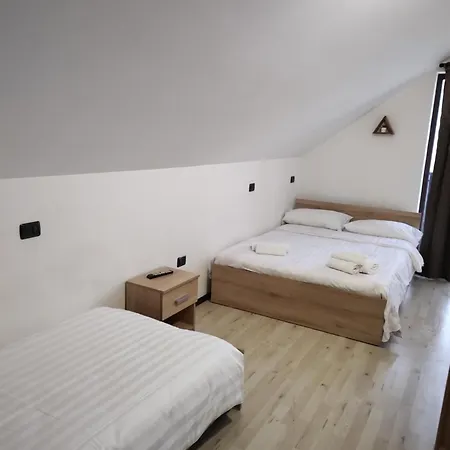 Villa Puiu Mm *