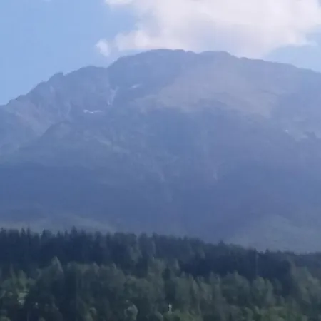 Puiu Mm Villa Borsa (Maramures)