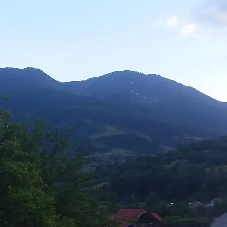 Puiu Mm Villa *