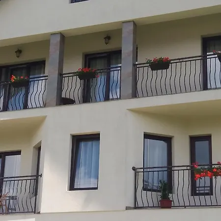 Puiu Mm Villa Borsa (Maramures)