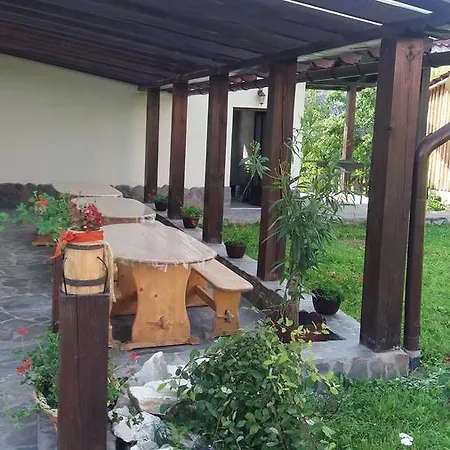 Villa Puiu Mm Borsa (Maramures)