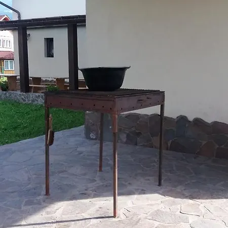 Villa Puiu Mm Borsa (Maramures)