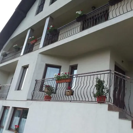 Puiu Mm Villa Borsa (Maramures)